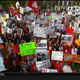 Illustration for article titled Deez Nuts: Your Ohio State iCollege GameDay/i Sign Roundup